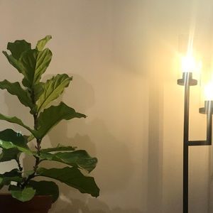 Meet your Posher, Nick